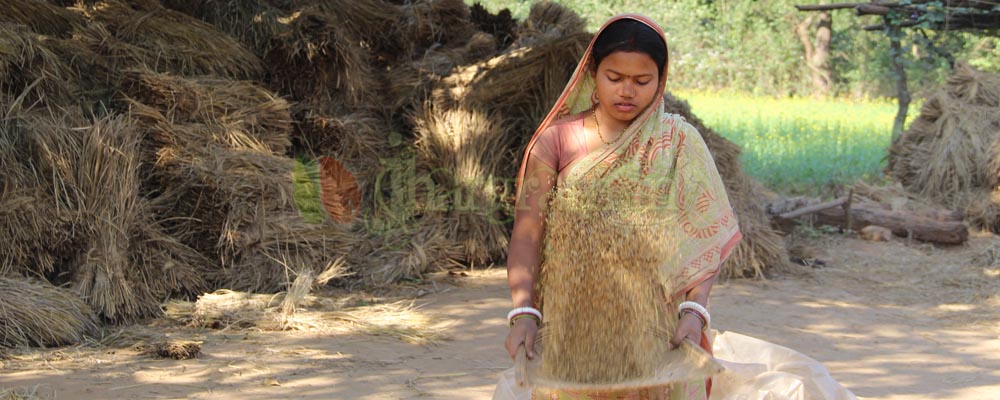 jhargram, jhargram.in